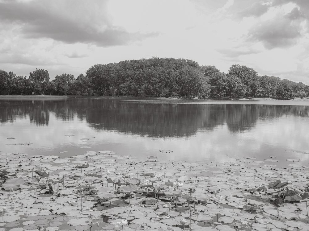 Photograph by Wen Ling Loh