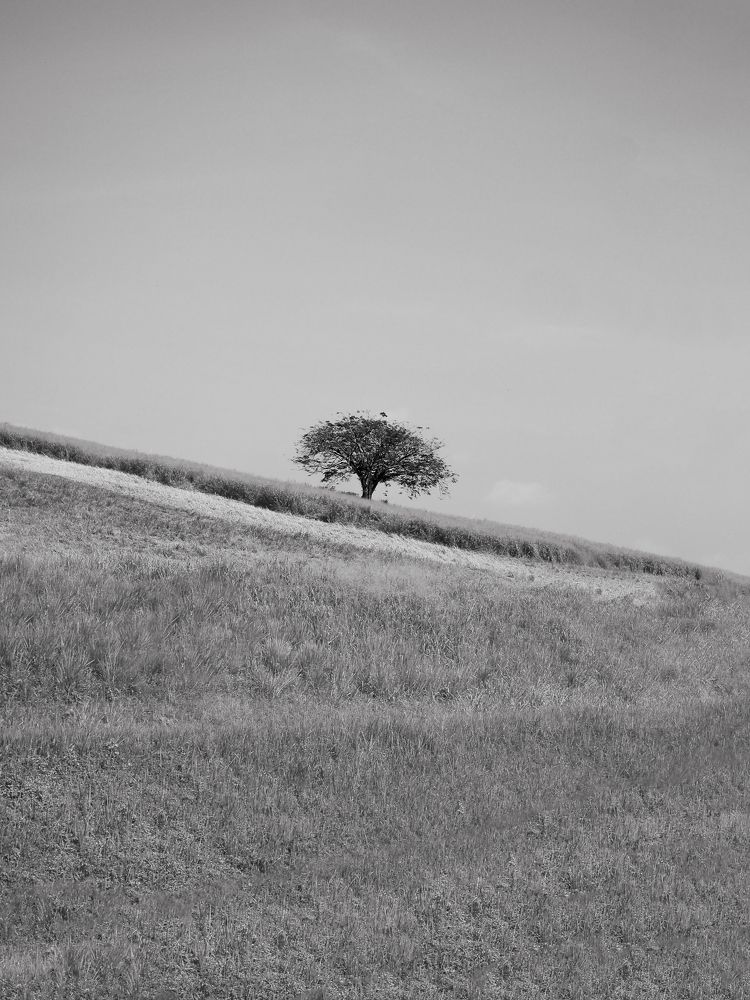 Photograph by Wen Ling Loh