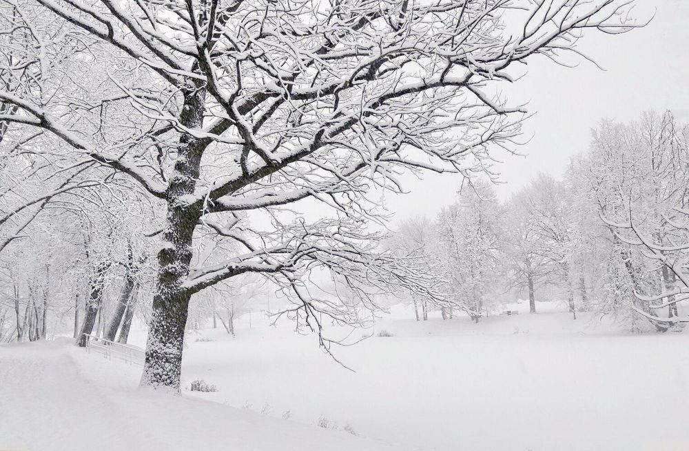 Photograph by Наталья Задерновская