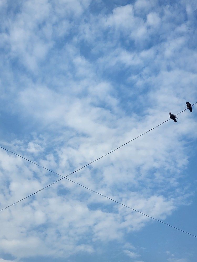 Photograph by G GOVIL