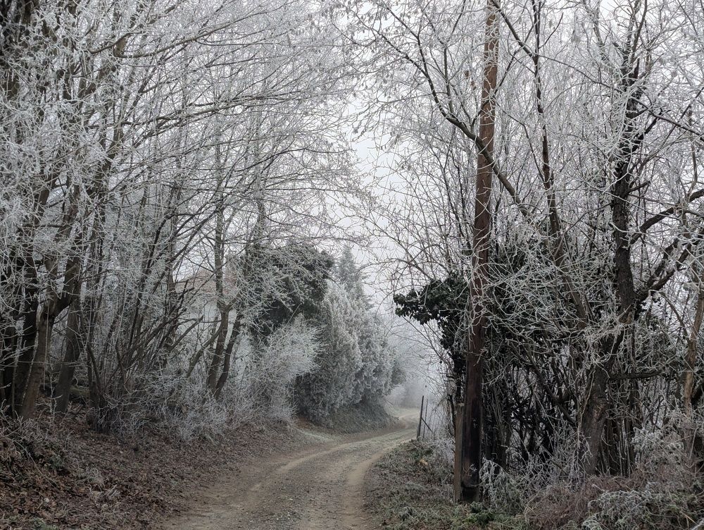 Photograph by Marina Razheva