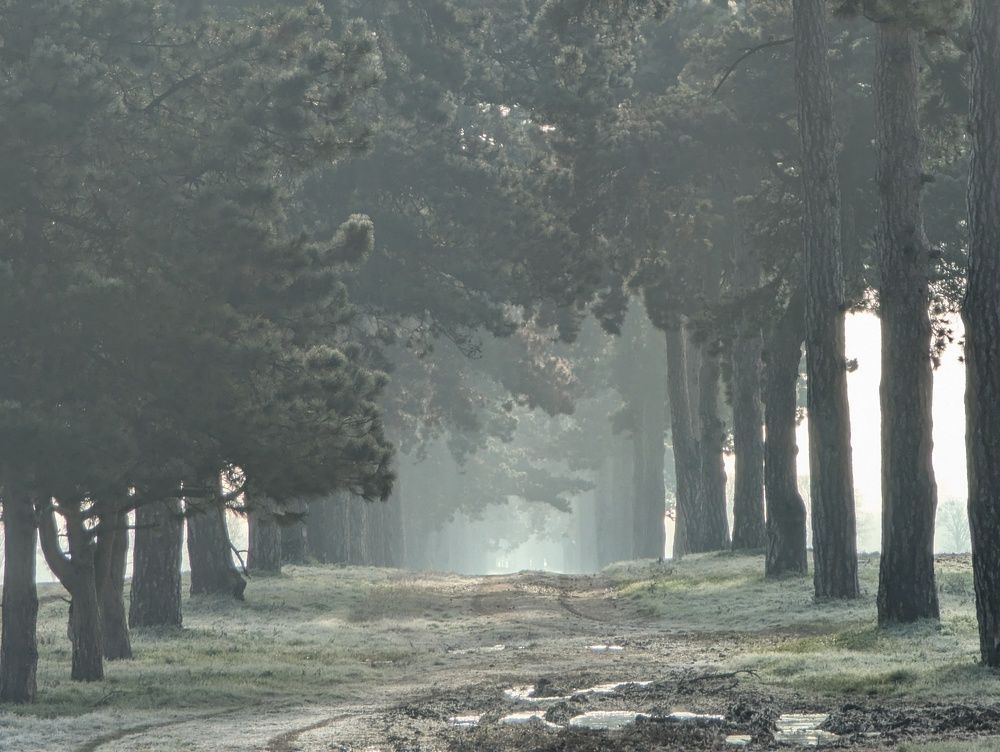 Photograph by Marina Razheva