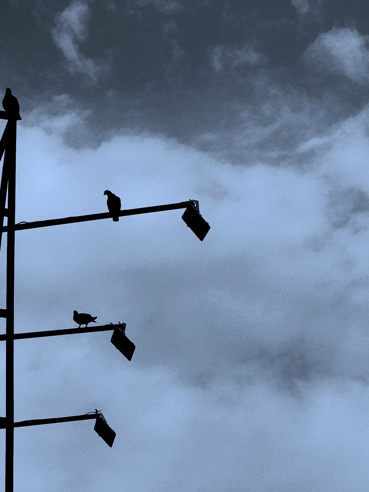 Photograph by G GOVIL