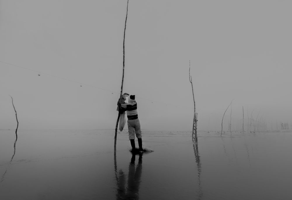 Photograph by Taha heydari