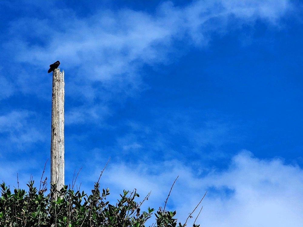 Photograph by G GOVIL