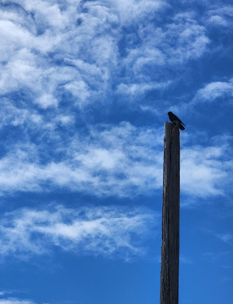 Photograph by G GOVIL