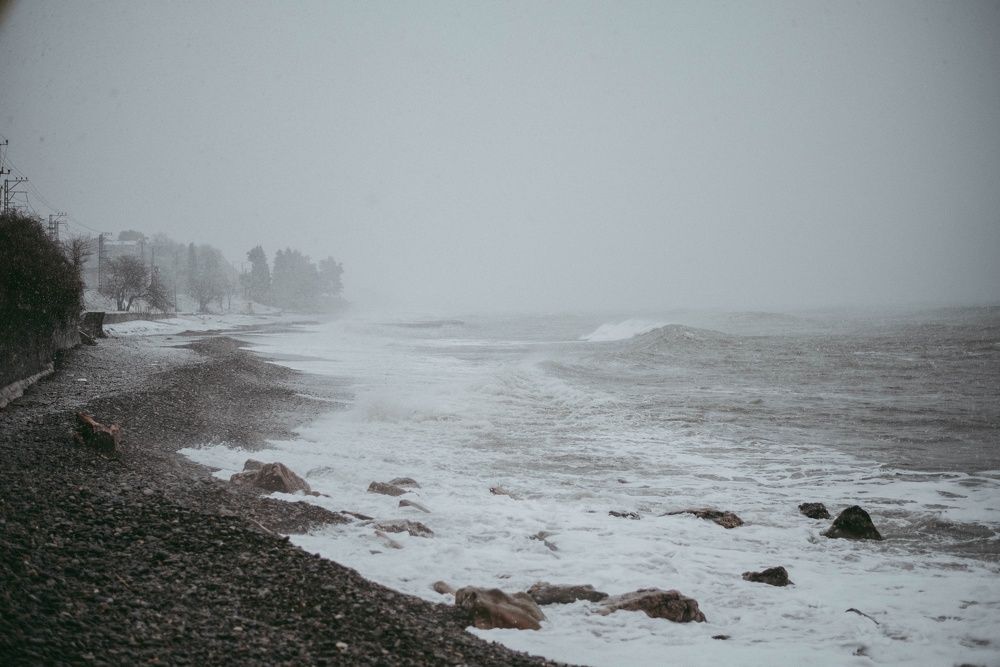 Photograph by Маргарита Поганова