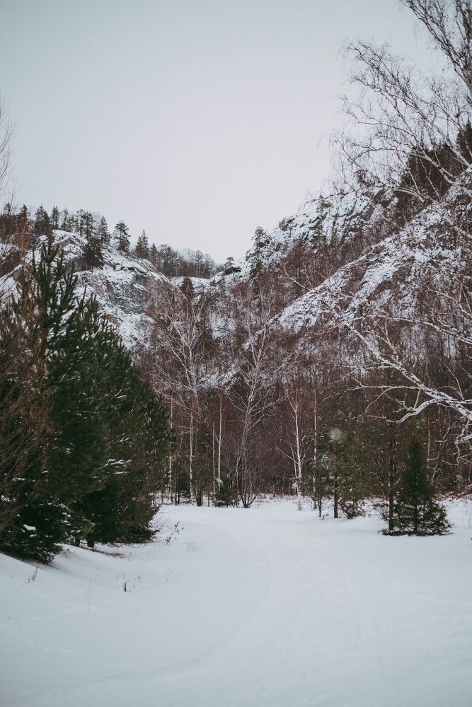 Photograph by Маргарита Поганова