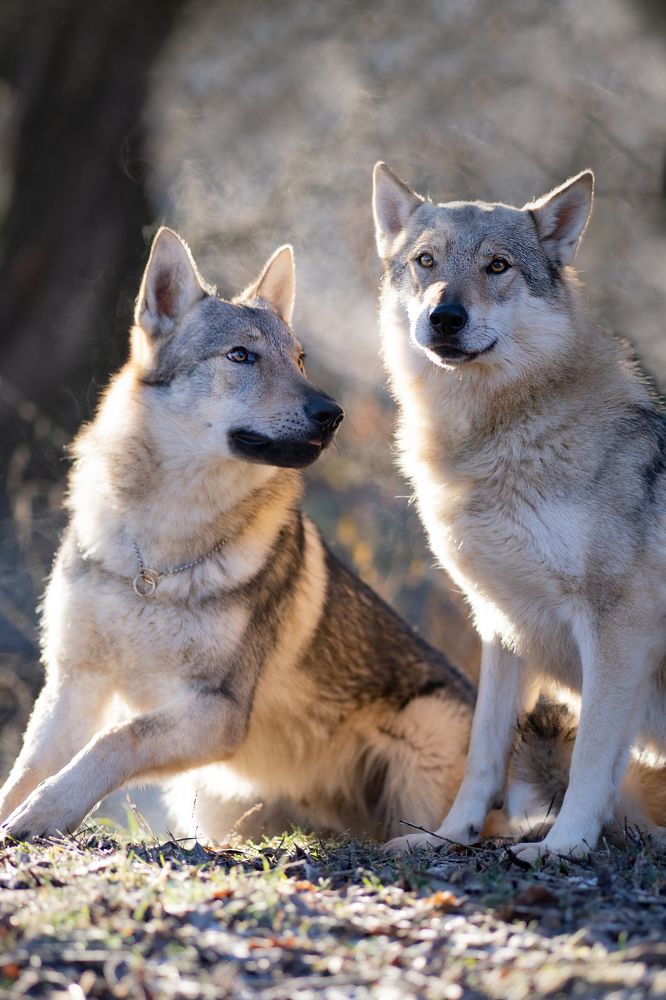 Поговори со мной