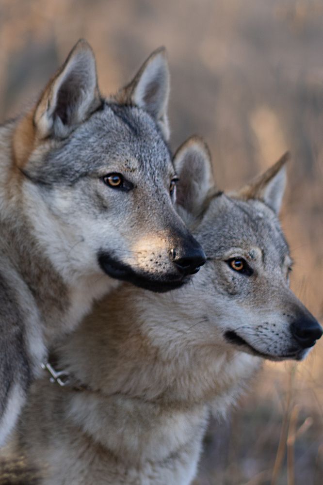 Photograph by Анна Михайловна