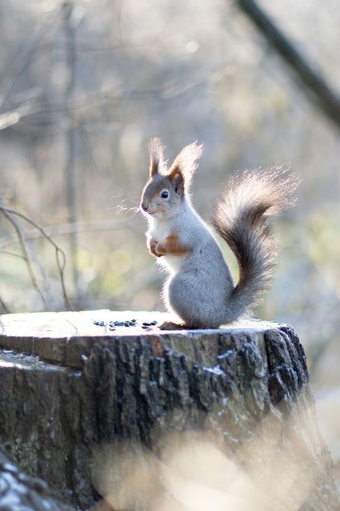Photograph by Анна Михайловна