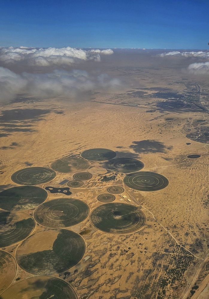 Фотография автора Наталья Законова