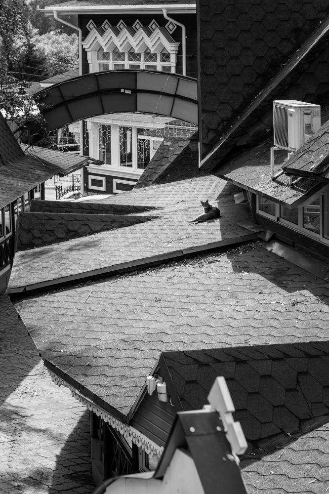 Photograph by Роман Гладкий