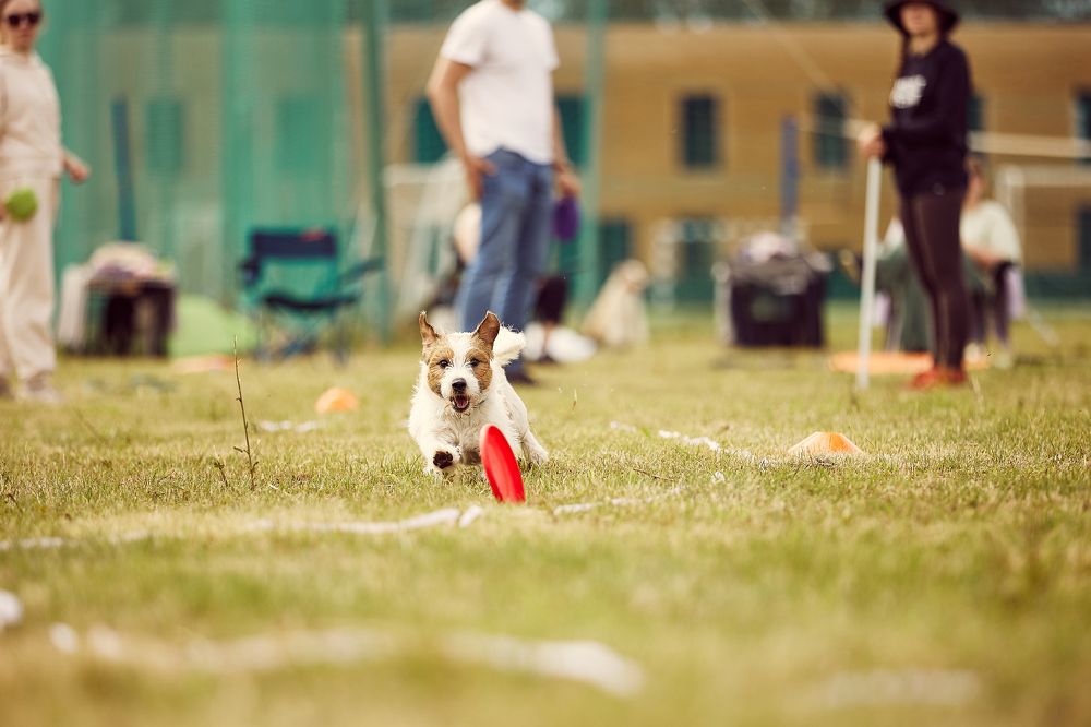 Photograph by Некрасов Денис