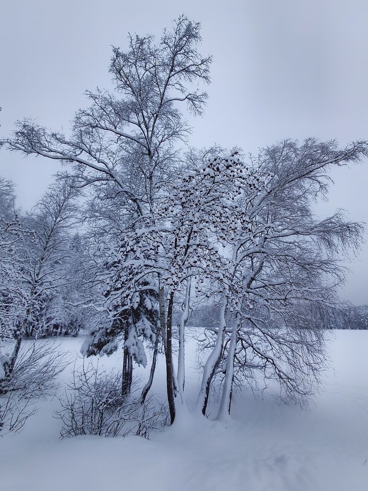 Photograph by Марина Безенкина