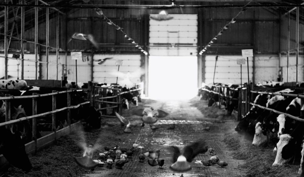 Photograph by Екатерина Клопота