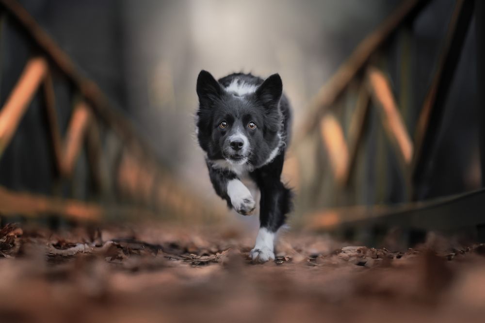 Photograph by Alfonso Maseda Varela