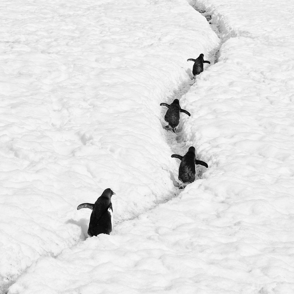 Photograph by Вячеслав Косенков