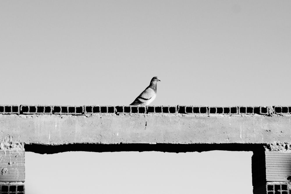 Photograph by Kadri Mohammed Ben Abdallah