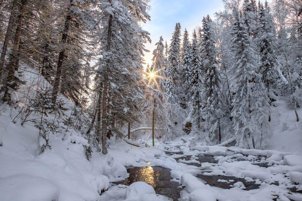 Фотография автора Andrey Pristyazhnyuk