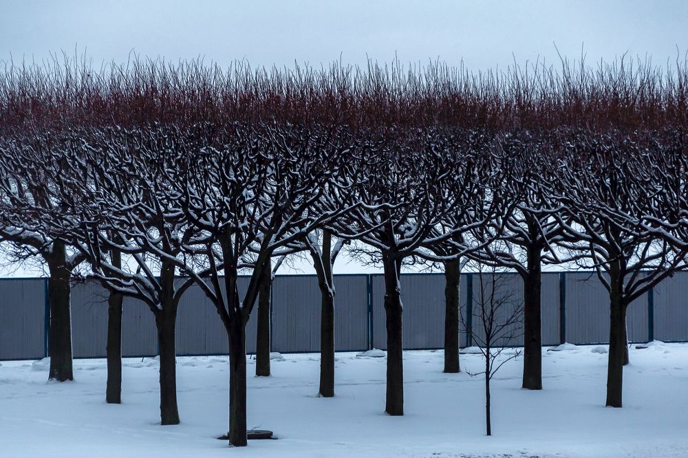 Photograph by Максим Малевич