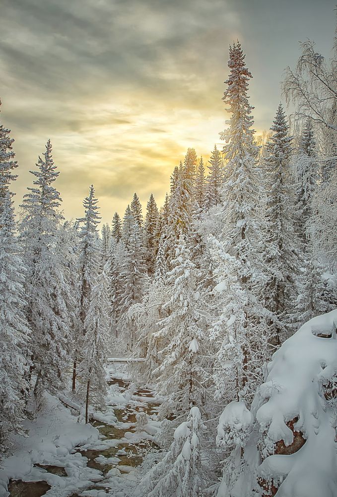 Фотография автора Andrey Pristyazhnyuk