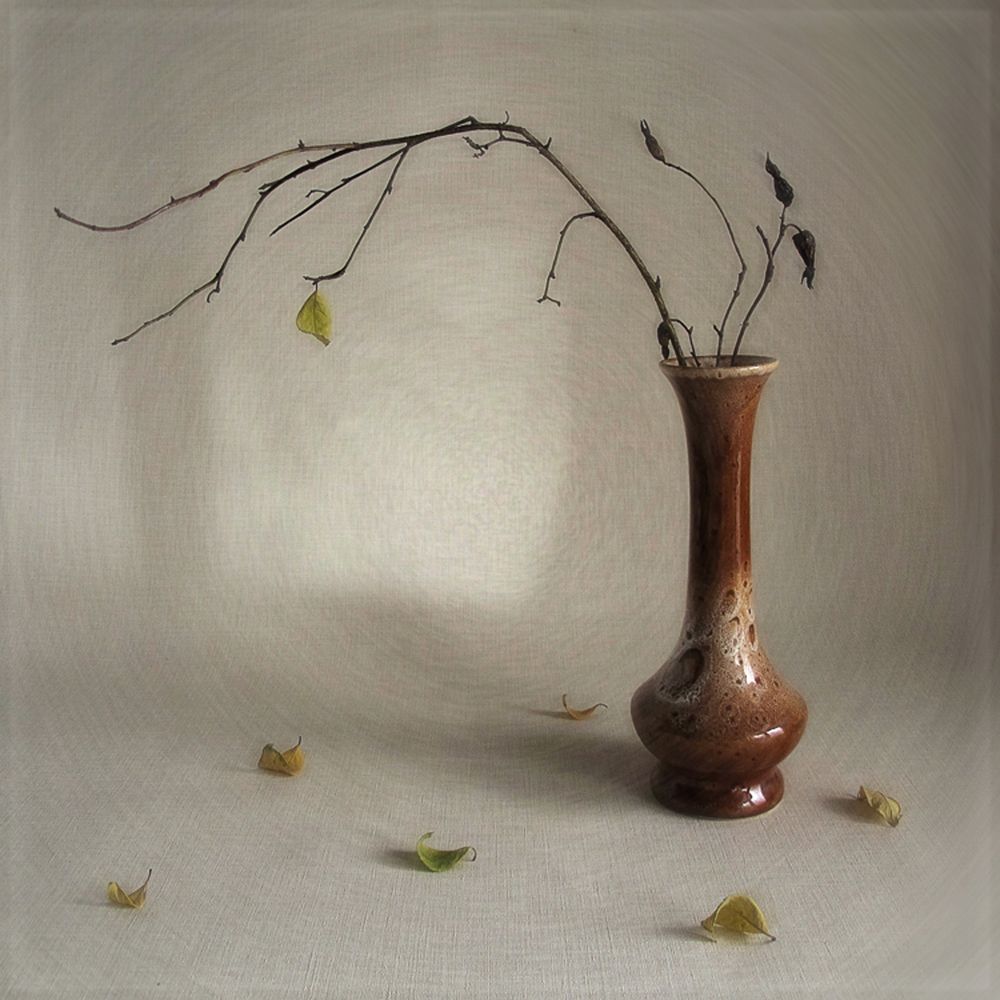 Фотография автора ТАТЬЯНА ЗАХАРОВА