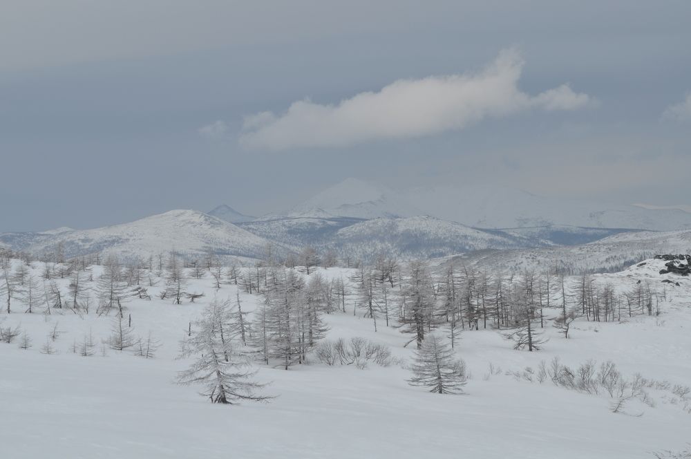 Photograph by Евгений Захаров