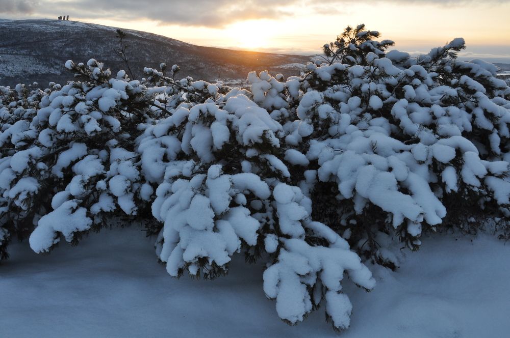 Photograph by Евгений Захаров
