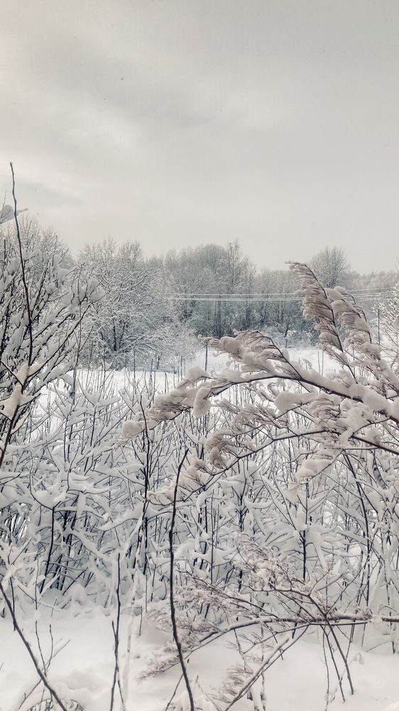 Photograph by Аркадий Каллистов