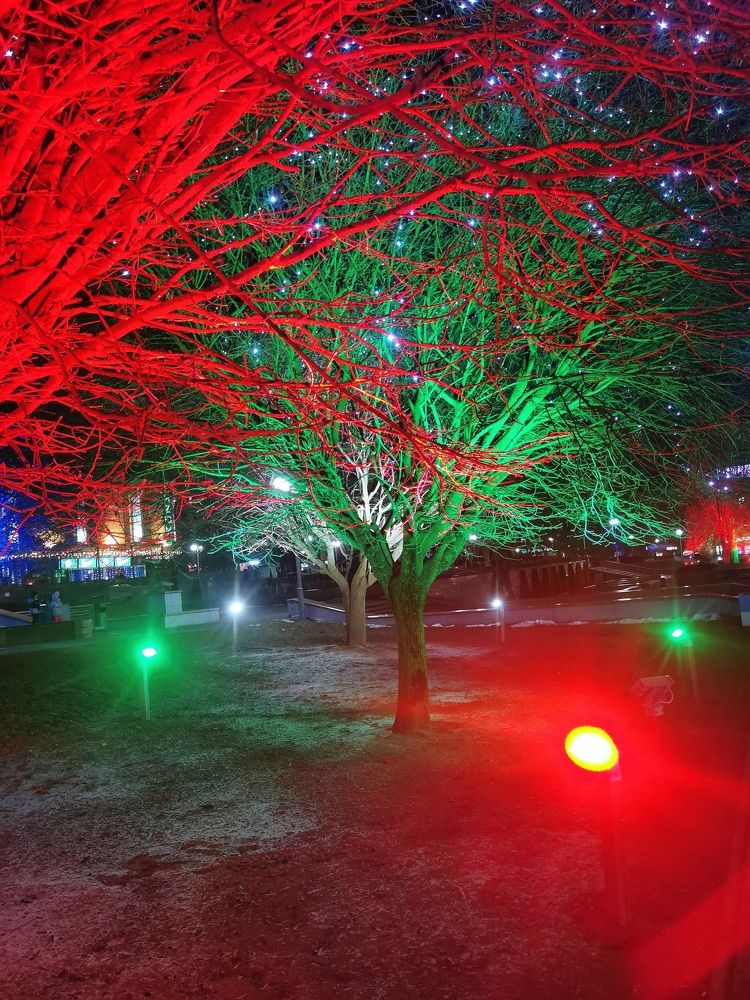 Photograph by Людмила Орловская