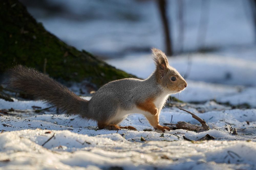 Photograph by Самосудов Рустам