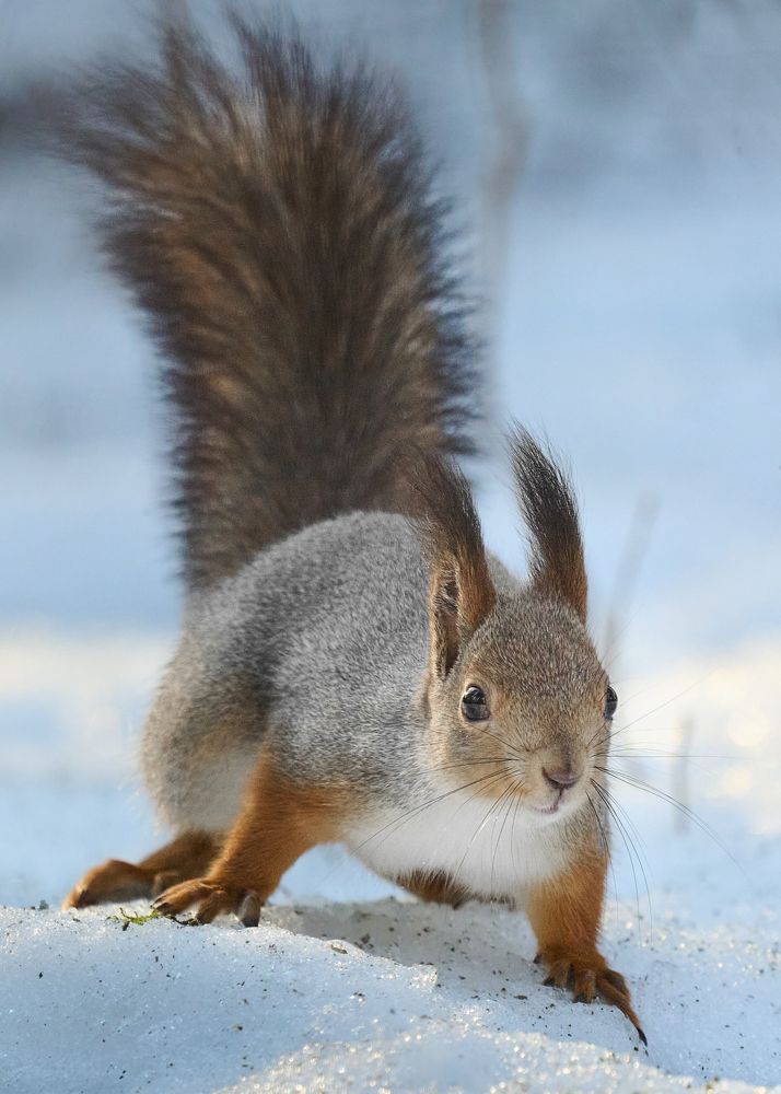 Photograph by Самосудов Рустам