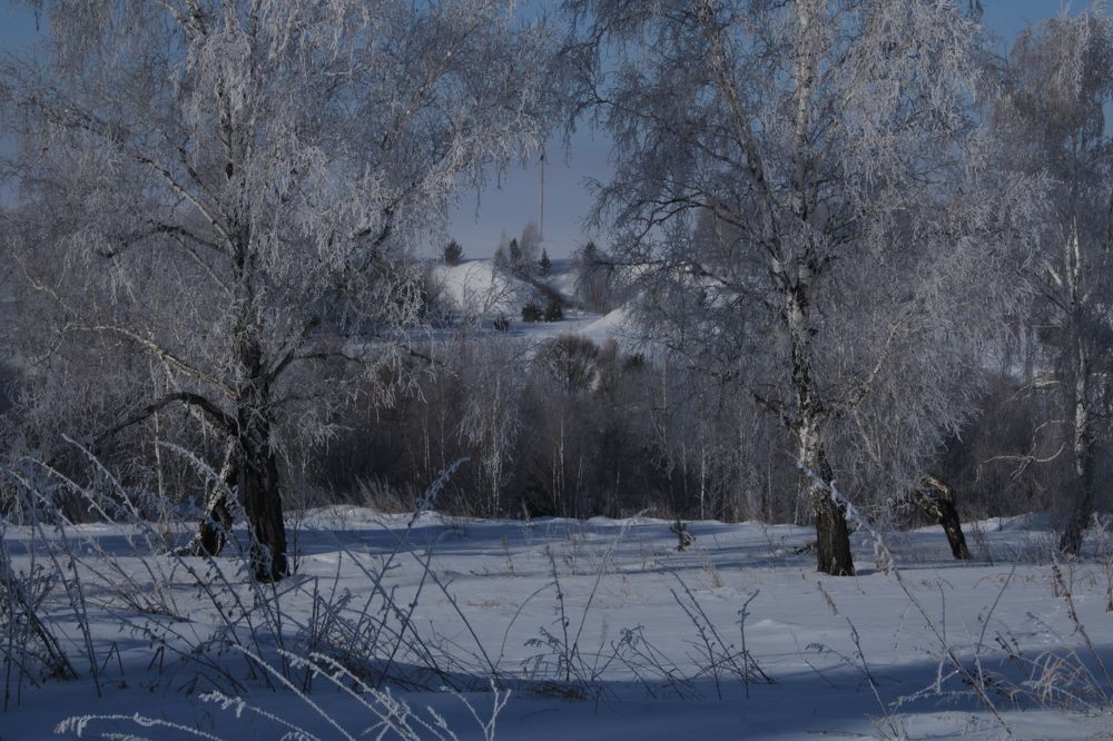 Photograph by ольга пивоварова