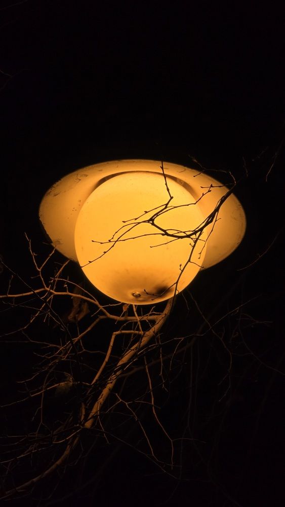 Photograph by ashtin فرید آشتین