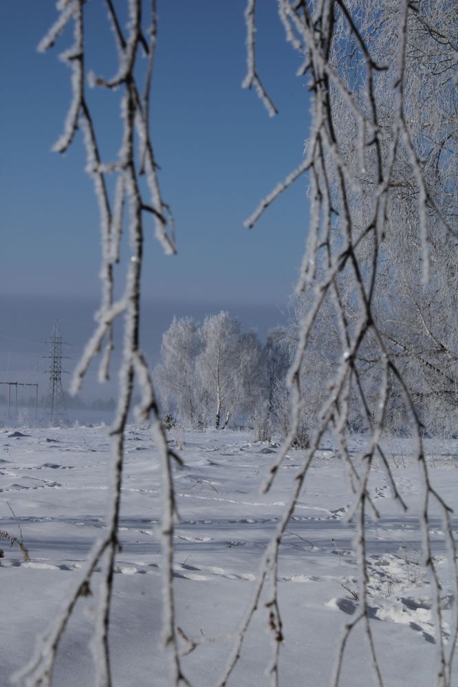 Photograph by ольга пивоварова