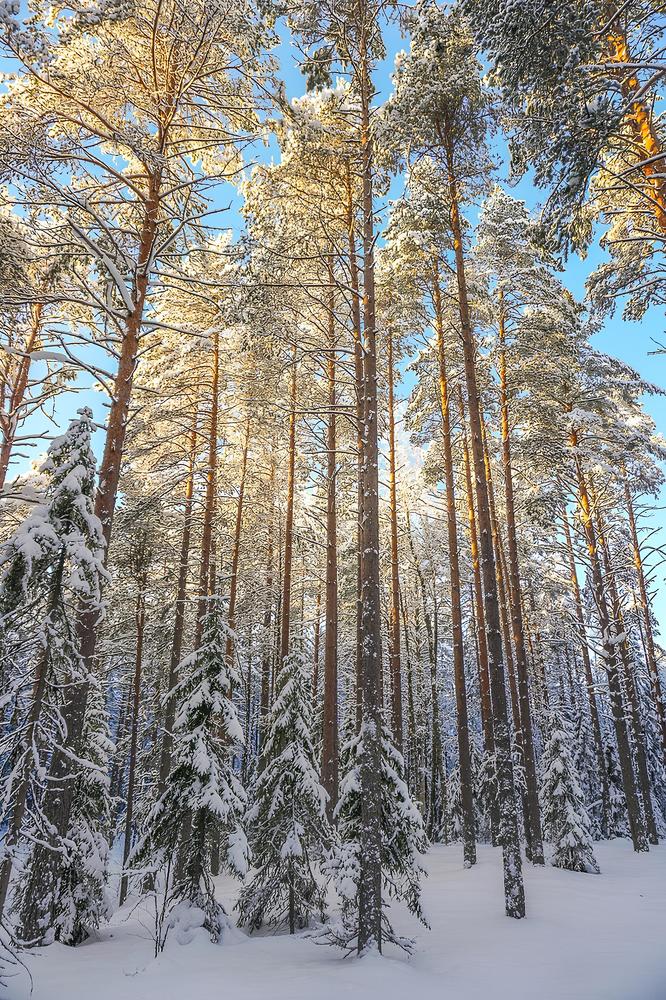 Photograph by Иван Жуков