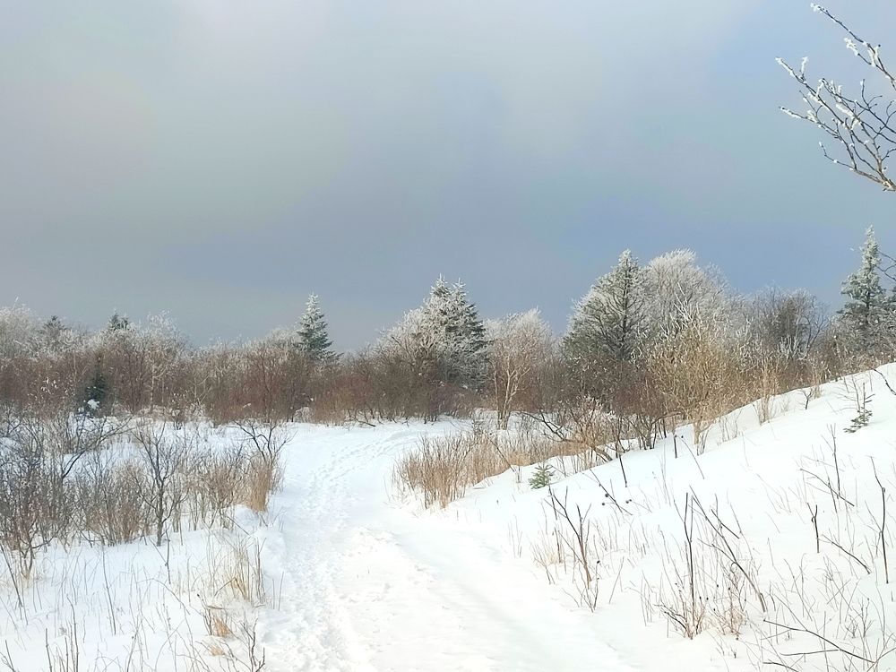 Photograph by Козлова Ольга