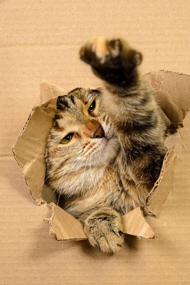 Photograph by Максим Торохов