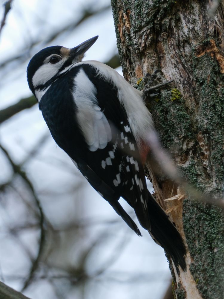 Photograph by Ирина Дегтярева