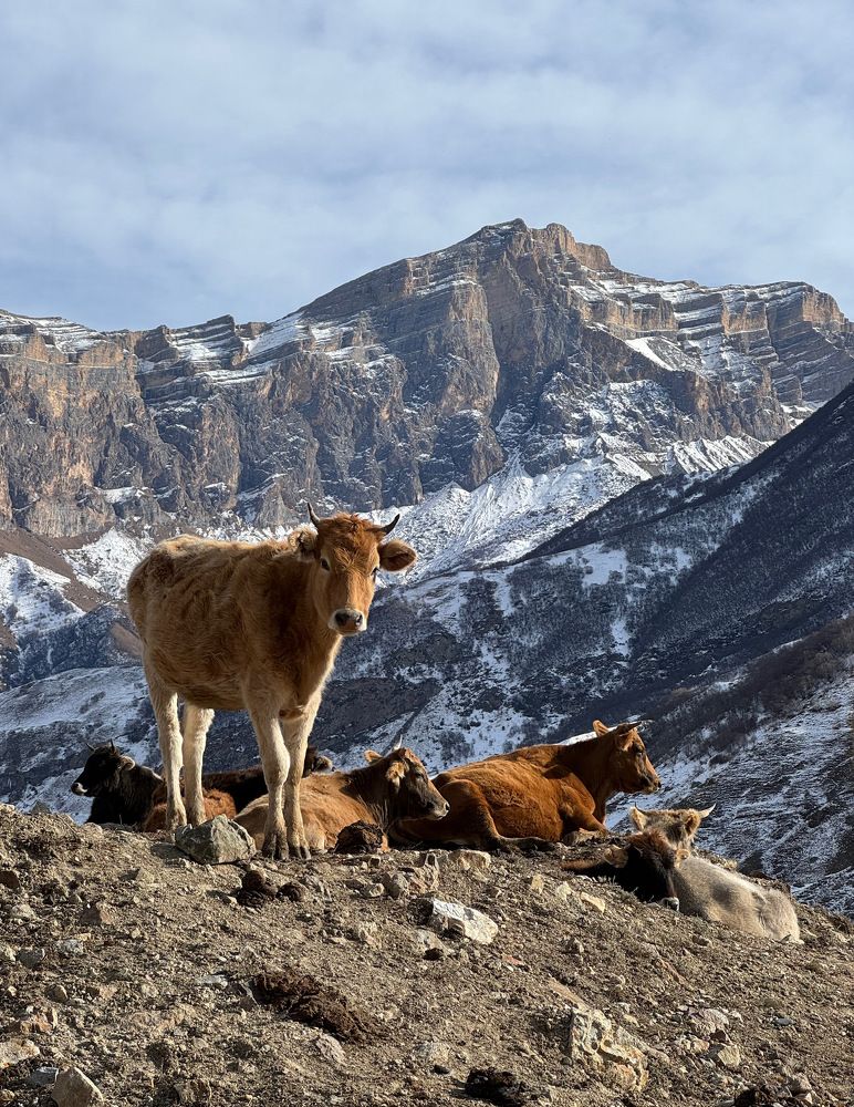 Photograph by Елена Квинт