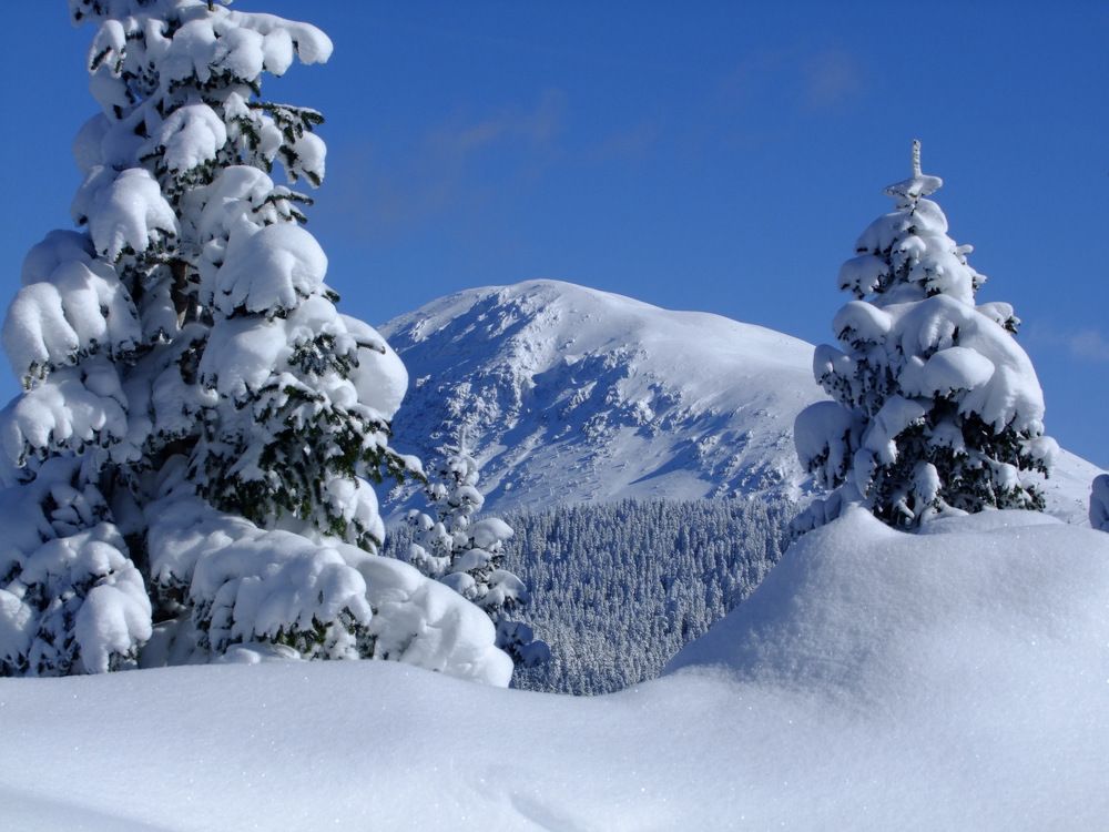 Photograph by Cengiz Yalcin