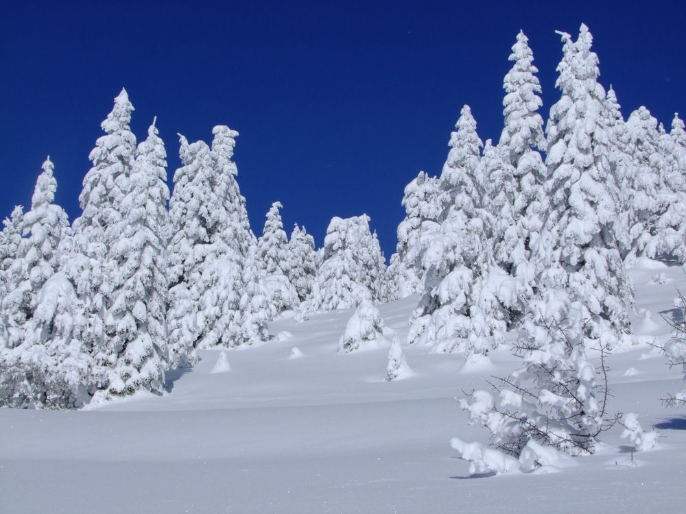 Photograph by Cengiz Yalcin