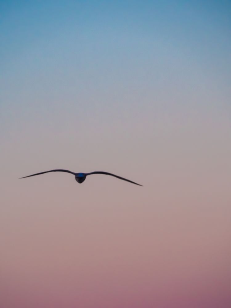 Photograph by Виталий Шмачко