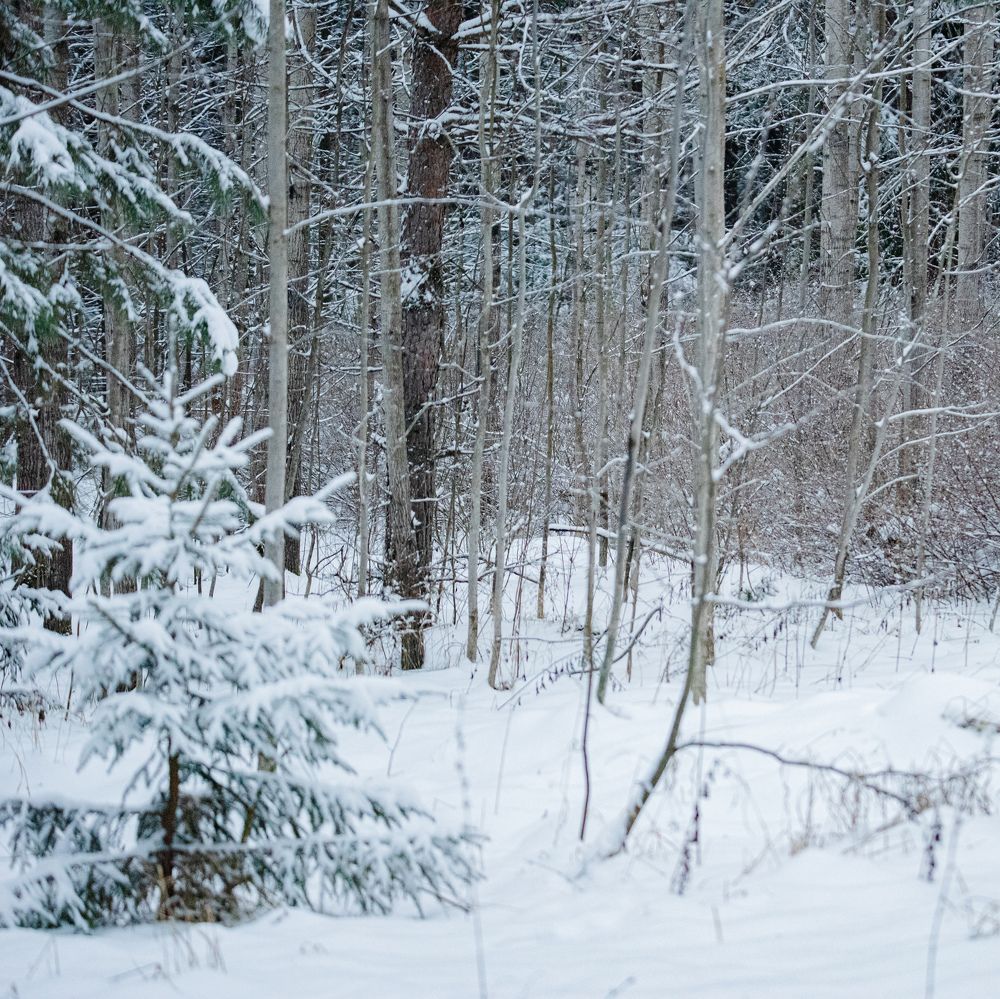 Photograph by Ксения Шилина