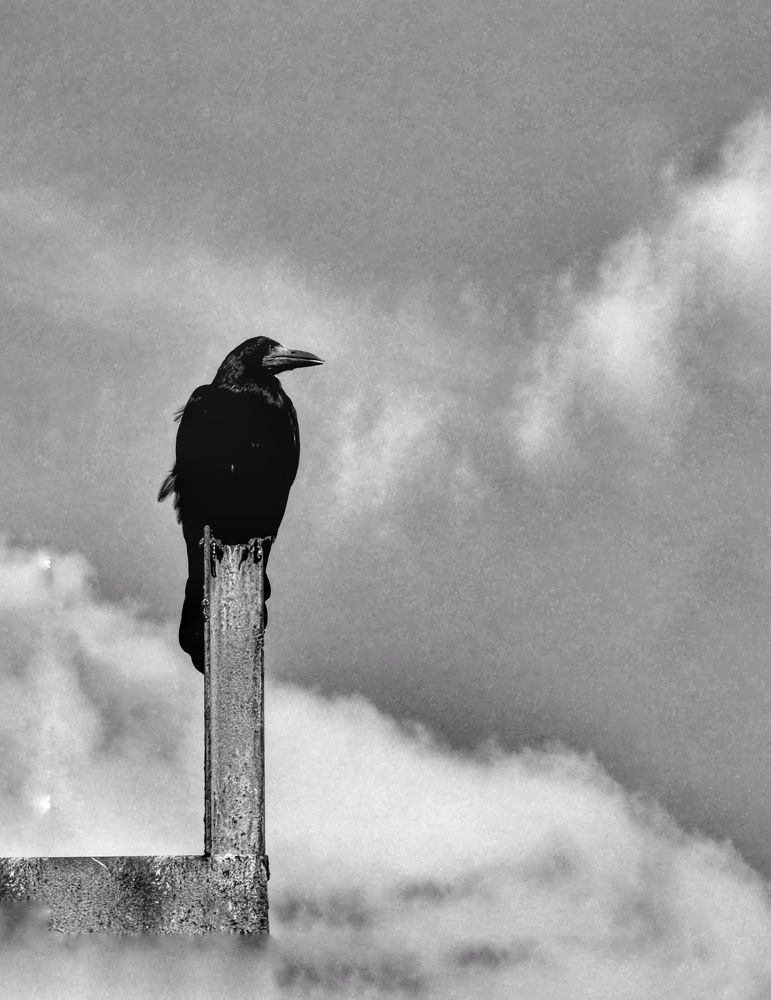 Photograph by Zhanna Kolesnikova