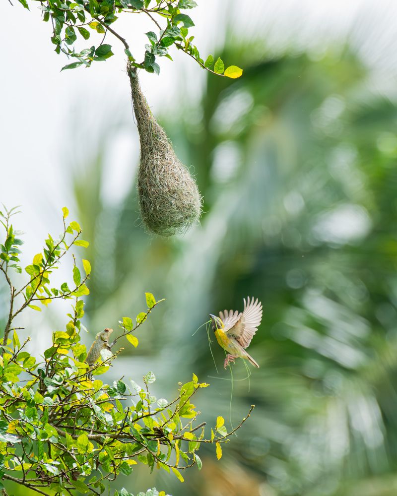 Фотография автора Anandhu M
