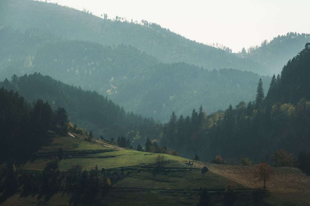 Photograph by Roman Vislobokov