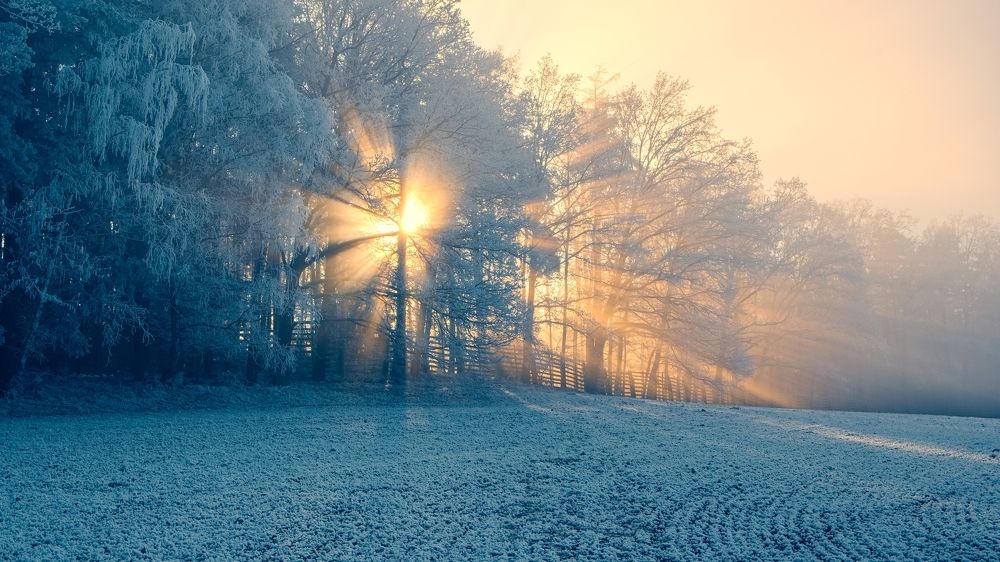 Photograph by Jan Musil