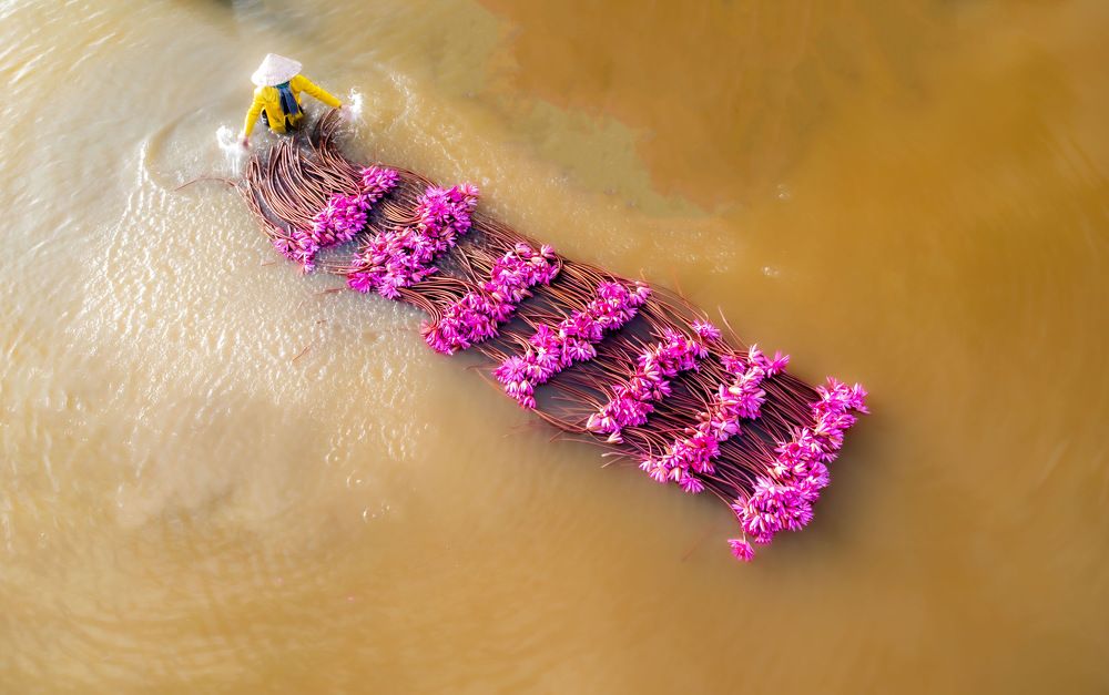 Photograph by Leduy Mai